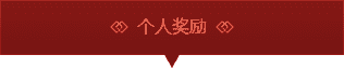 个人奖励
